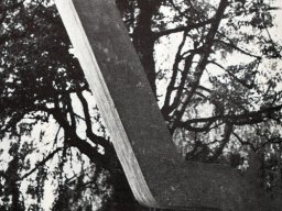Wimpfheimer Willy - Figur V 1972